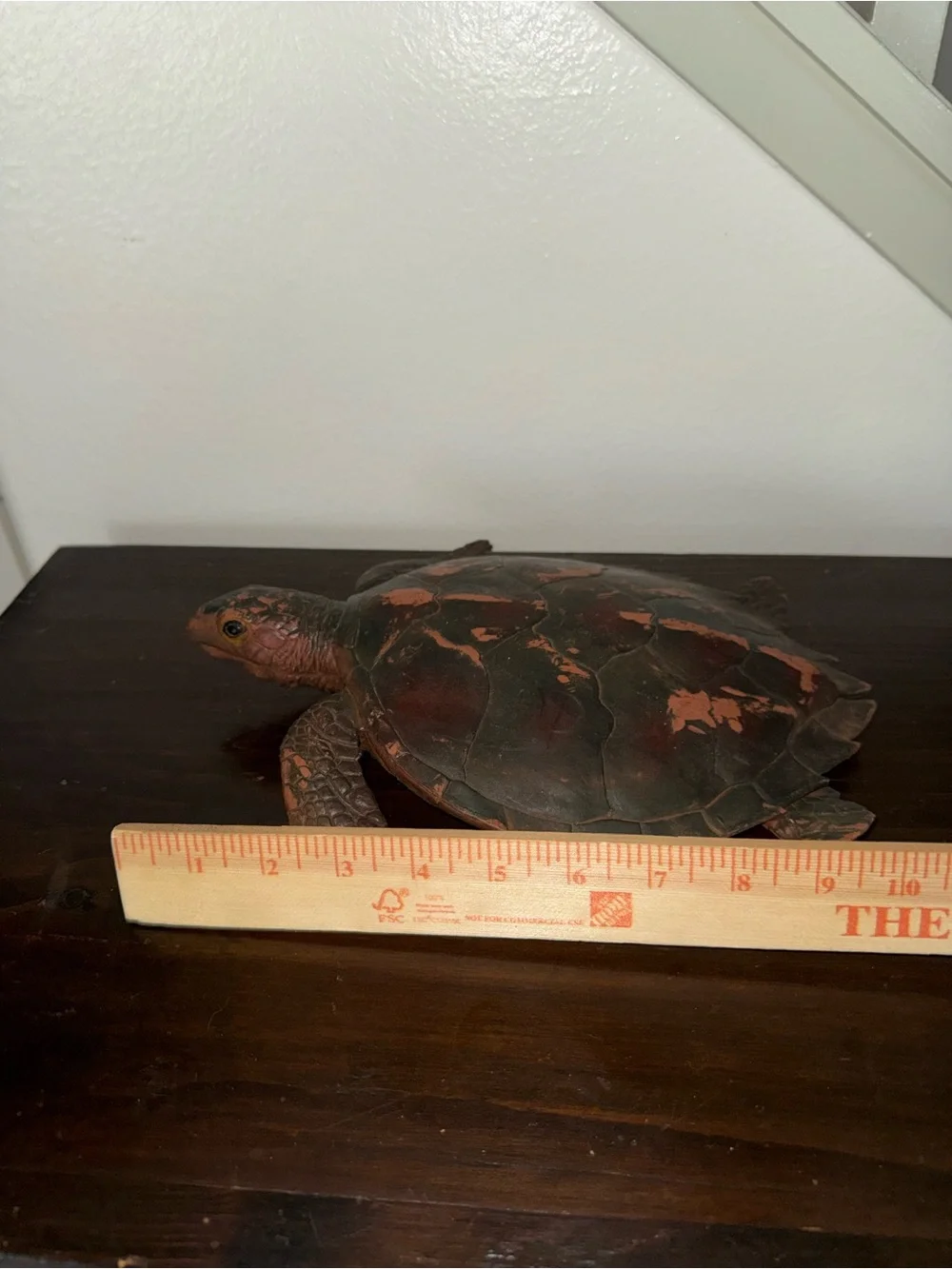N/A decorative reptile